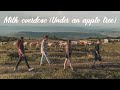 3AD/ Milk Overdose (Under an Apple Tree) (Official Music Video)