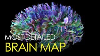 The most detailed map of the brain ever created The most detailed map of the brain ever created