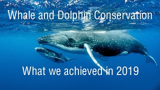 WDC Successes Video 2019