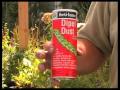 How To Choose Organic Pest Control Products For The Garden