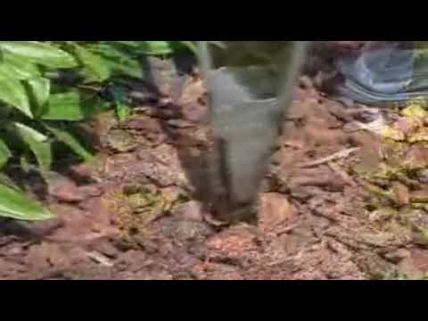 Приспособление для быстрой посадки рассады 12