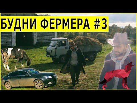 Как построить сарай для коровы своими руками Как построить сарай для коровы своими руками