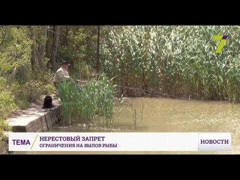 Нерестовый запрет 2018 по регионам - Фиш Тим Россия Нерестовый запрет 2018 по регионам - Фиш Тим Россия