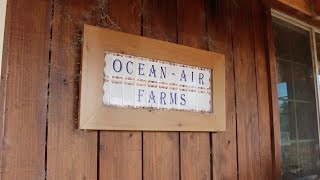 Ocean Air Farms | Organic Food | Fort Dick, CA