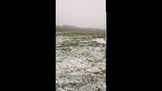 Škoda Favorit Drift