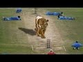 Top 10 Funniest Moments In Cricket History – HD update