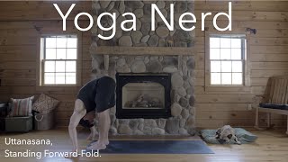 Uttanasana, Standing Forward-Fold