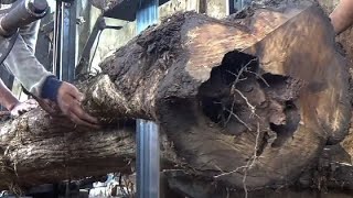 Cut Wood With The Strongest Machine. Sawmill