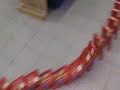 domino
