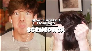 Albert Aretz Flamingo Scenepack Pt. 2