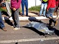 Acidente na avenida presidente vargas em Campo Grande, MS