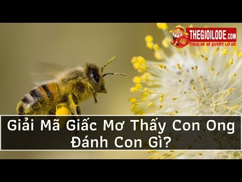 Giải Mã Giấc Mơ Thấy Con Ong Đánh Con Gì?
