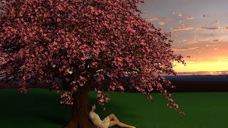 Nola - Сакура (Премьера Песни, 2023)