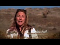America S Wild Mustang Untamed Legacy Pbs Doentary images America S Wild Mustang Untamed Legacy Pbs Doentary