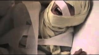Toilet Paper Mummy Trailer