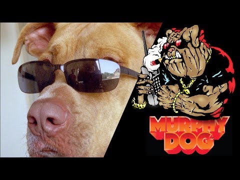 Big Budha Cheez - Murphy Dog