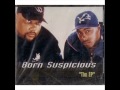 Born Suspicious - These Days (Remix)
