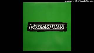 Watch Grinspoon Point Of View video