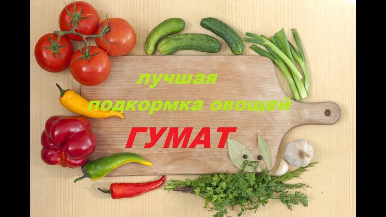 Приятного аппетита тебе