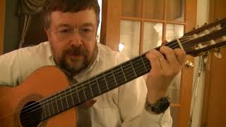 Willard Losinger Performs Watching the Wheels by John Lennon with Guitar Accompaniment