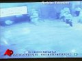 Raw Video: Running for Cover As Quake Hits Dom. Rep