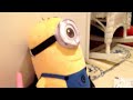 image Stuart Minion With Random Background Music
