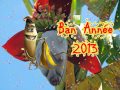 carte voeux animée NOUVEL AN 2013-DOMAINE DE RABREUX-263