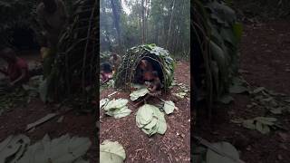 How Indonesian Tribes Survive Rainy Season Jungle Life & Tribal Houses