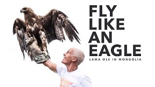 Fly Like An Eagle