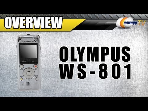 Olympus forex review
