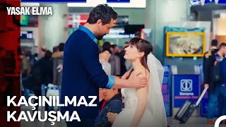 Alihan Ve Zeynep Aşkı Aşkın Zeyal Hali - Yasak Elma
