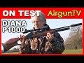 FIRST LOOK - Diana P1000 air rifle PCP