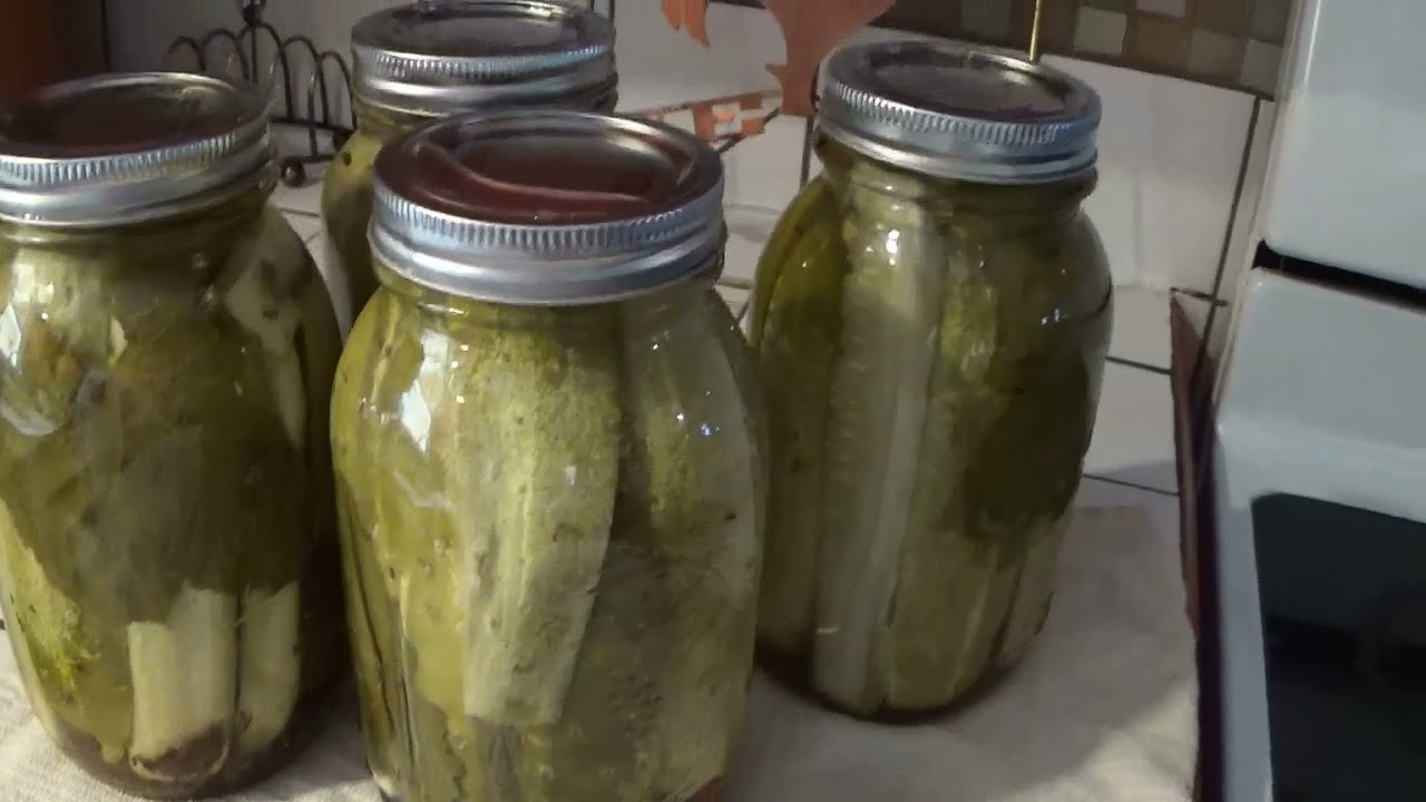 How to Make Crispy Dill Pickles How to Make Crispy Dill Pickles new photo How to Make Crispy Dill Pickles How to Make Crispy Dill Pickles new pictures