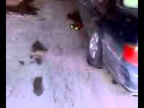 TyCo RC 4x4 Rebound