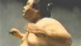 Jack - Sumo Fight