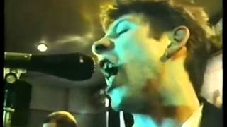 Watch Pogues Waxies Dargle video