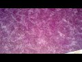 La Peinture Ambra 06 71 19 60 55 images La Peinture Ambra 06 71 19 60 55