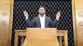 Portion of Shemini - Rabbi Allouche's WEEKLY SERMONETTE Tuesday, April 17, 2020