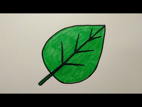 สอนวาดรูปใบไม้ | Drawing a leave easy for beginer | My Sky Channel.