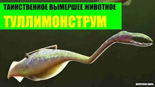Таинственное Вымершее Животное - Туллимонструм