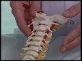 Osteopathic Examination using translation of the Cervical Spine C2-C7