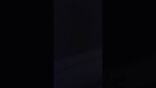 Minnies Bee Story