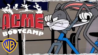 Looney Tunes | Acme Bootcamp | #Acmefools | @Wbkidsbrasil