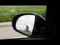 Holland trip