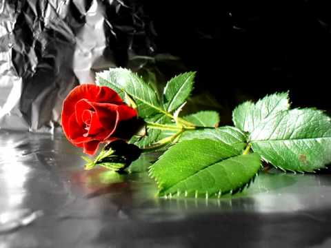 sending all my love-linear