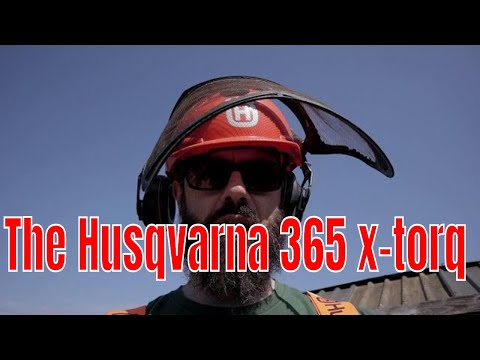 Making Noodles With The Husqvarna 365 x-torq