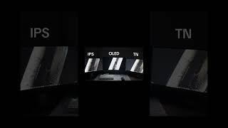 Oled V Ips V Tn