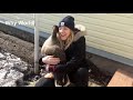 Animals Hugging People   Animals Hugging Humans Compilation New 2018 HD. Subscribe!