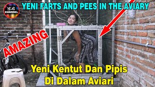 Yeni Kentut Dan Pipis Di Dalam Aviari Atau Sangkar Burung Sumpah Lucu