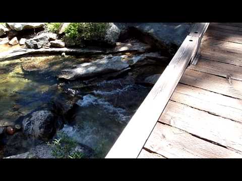Panaromic view at the Snow Creek footbridge 110818 Video Panaromic view at the Snow Creek footbridge 110818 Video